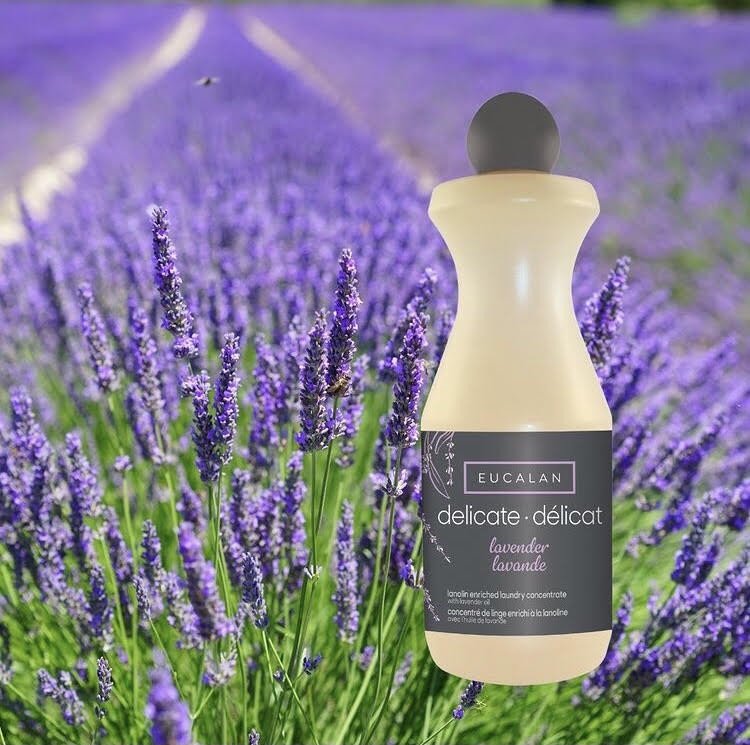eucalan   Lavender